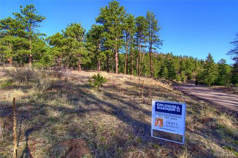 7753 Elk Path Way, Morrison, CO 80465 photo 11