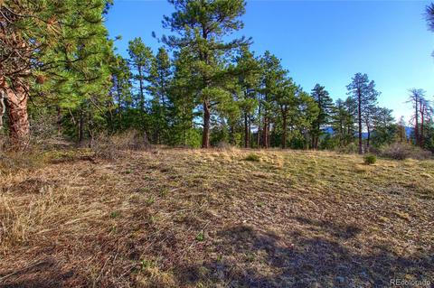 7753 Elk Path Way, Morrison, CO 80465 photo 13