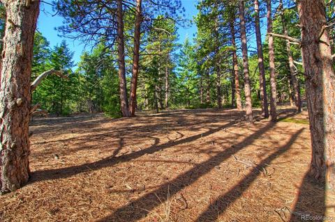 7753 Elk Path Way, Morrison, CO 80465 photo 15