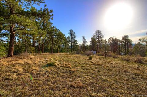 7753 Elk Path Way, Morrison, CO 80465 photo 12