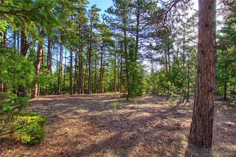 7753 Elk Path Way, Morrison, CO 80465 photo 17
