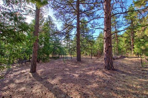 7753 Elk Path Way, Morrison, CO 80465 photo 16