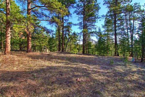7753 Elk Path Way, Morrison, CO 80465 photo 14