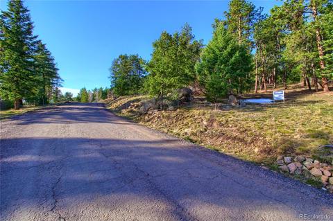 7753 Elk Path Way, Morrison, CO 80465 photo 20