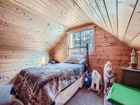Bedroom - 139 Hayes Rd, Bailey, CO 80421 photo 2 of 6