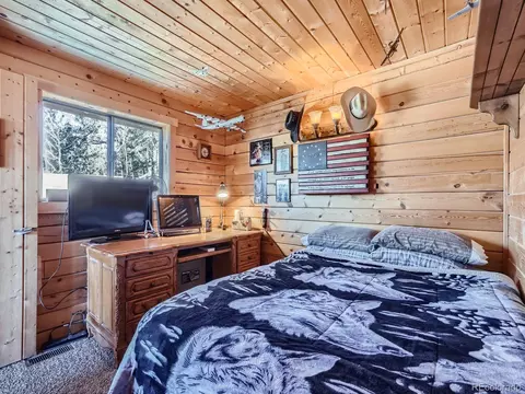 Bedroom - 139 Hayes Rd, Bailey, CO 80421 photo 1 of 6