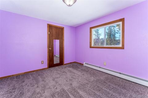 217 Stage Coach Dr, Bailey, CO 80421 photo 16