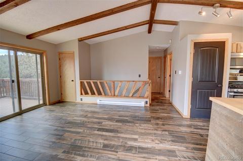 31204 Evans View Ln, Pine, CO 80470 photo 4