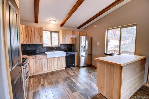 31204 Evans View Ln, Pine, CO 80470 photo 7
