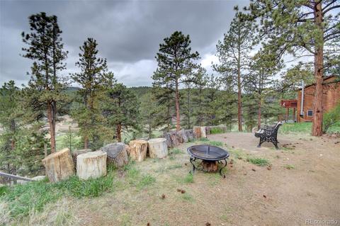 31204 Evans View Ln, Pine, CO 80470 photo 28