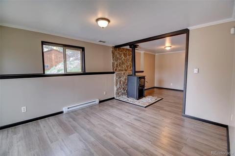 31204 Evans View Ln, Pine, CO 80470 photo 14