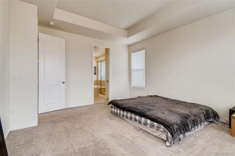 2803 E 161st Pl, Thornton, CO 80602 photo 17