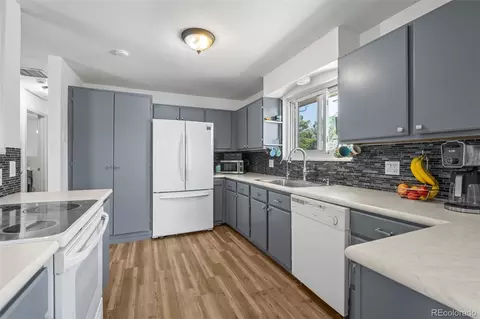 11114 Eudora Cir, Thornton, CO 80233 photo 9