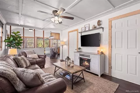 Living - 88 Neal St, Bailey, CO 80421 photo 1 of 3
