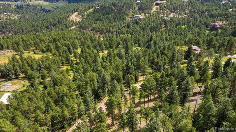 7313 Plowsher Way, Morrison, CO 80465 photo 6