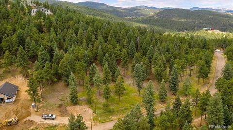 7313 Plowsher Way, Morrison, CO 80465 photo 5