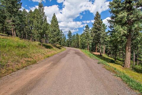 7313 Plowsher Way, Morrison, CO 80465 photo 10