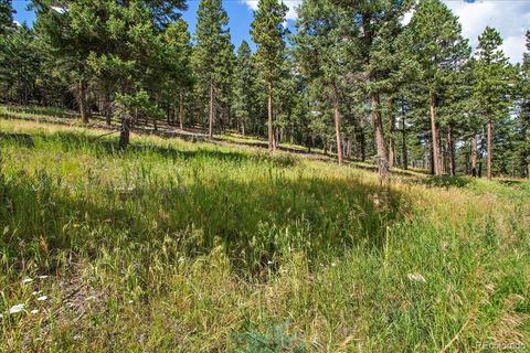 7313 Plowsher Way, Morrison, CO 80465 photo 2