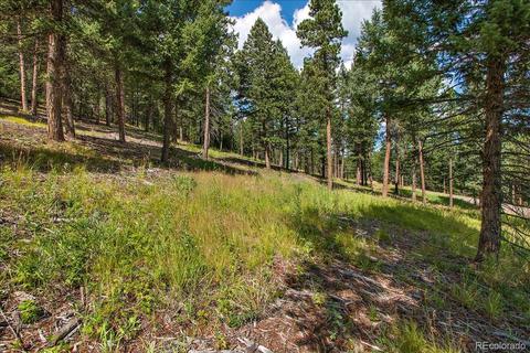 7313 Plowsher Way, Morrison, CO 80465 photo 7