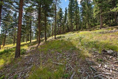 7313 Plowsher Way, Morrison, CO 80465 photo 9
