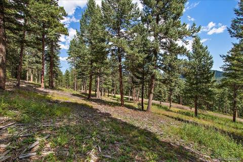 7313 Plowsher Way, Morrison, CO 80465 photo 1