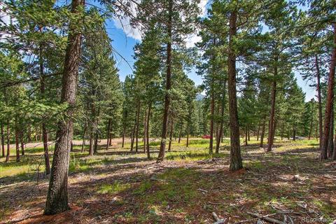 7313 Plowsher Way, Morrison, CO 80465 photo 11