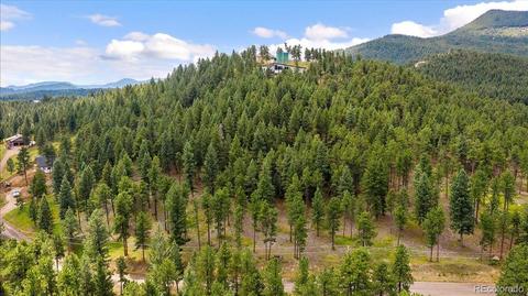 7313 Plowsher Way, Morrison, CO 80465 photo 13