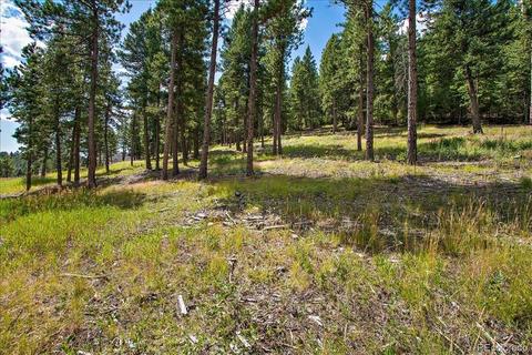 7313 Plowsher Way, Morrison, CO 80465 photo 4