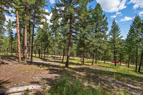 7313 Plowsher Way, Morrison, CO 80465 photo 8