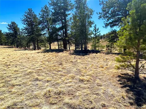 Singletree Road, Buena Vista, CO 81211