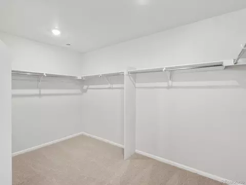Other - 1206 Spring Creek Dr, Windsor, CO 80550 photo 3 of 5