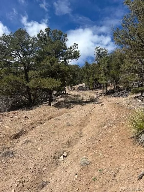 143 Ive Pl, Cotopaxi, CO 81223