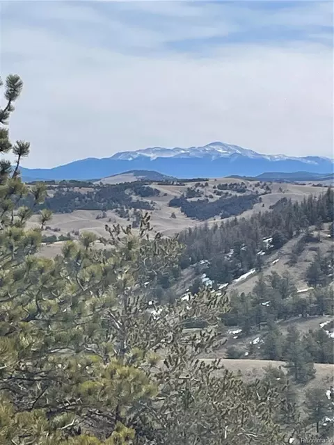 Antelope Road, Hartsel, CO 80449