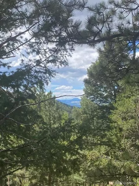 216 252 Troy Dr, Cripple Creek, CO 80813