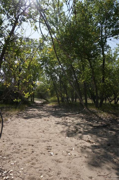 6955 Yulle Rd, Bennett, CO 80102 photo 12