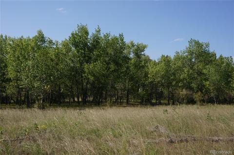 6955 Yulle Rd, Bennett, CO 80102 photo 2