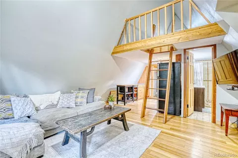 226 Atlantis Dr, Black Hawk, CO 80422 photo 10
