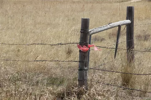County Road 133, Simla, CO 80835 photo 4
