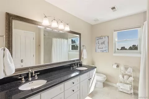 620 E Kings Deer Pt, Monument, CO 80132 photo 27