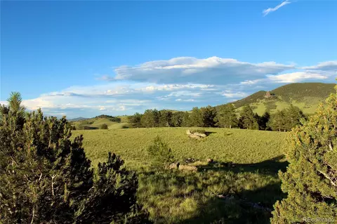Aspen Meadows Lane, Guffey, CO 80820