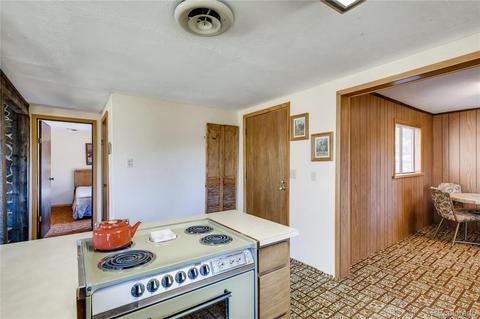 13829 S Beech St, Pine, CO 80470 photo 8