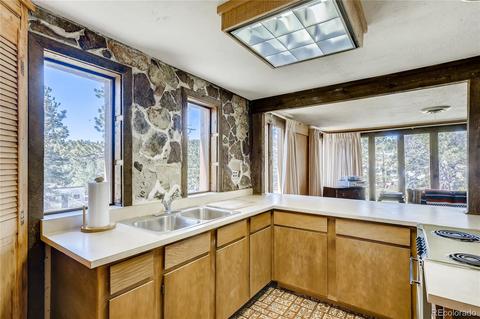13829 S Beech St, Pine, CO 80470 photo 7
