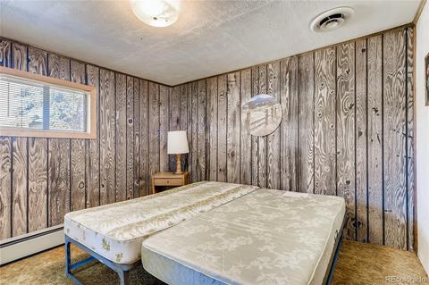 13829 S Beech St, Pine, CO 80470 photo 12