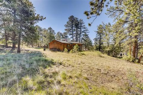 13829 S Beech St, Pine, CO 80470 photo 13