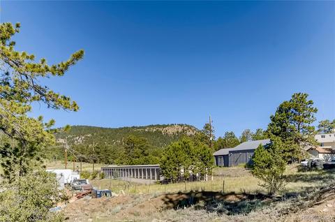 13829 S Beech St, Pine, CO 80470 photo 17