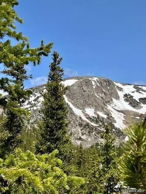 000 Brook Dr, Idaho Springs, CO 80452