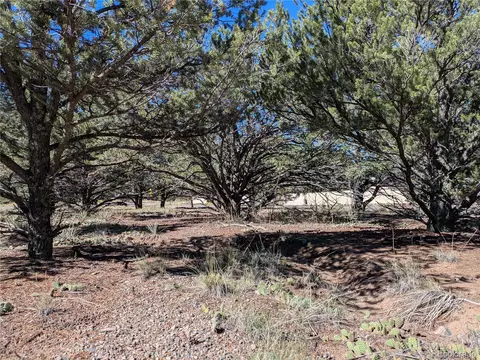 112 Baca Grant Way, Crestone, CO 81131 photo 13