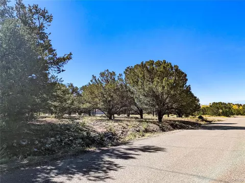 112 Baca Grant Way, Crestone, CO 81131 photo 3
