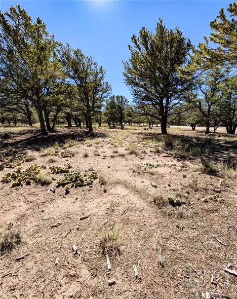 112 Baca Grant Way, Crestone, CO 81131 photo 5