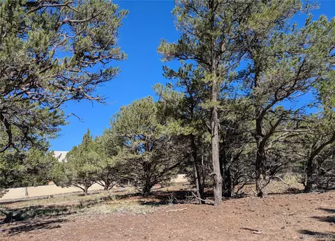 112 Baca Grant Way, Crestone, CO 81131 photo 7